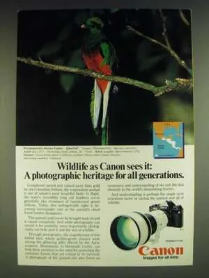 Quetzal brand asset featured on ebay.com
