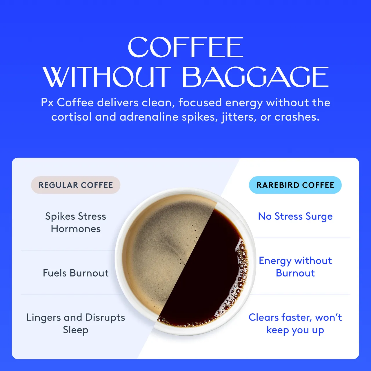 Rarebird brand asset featured on rarebird.coffee