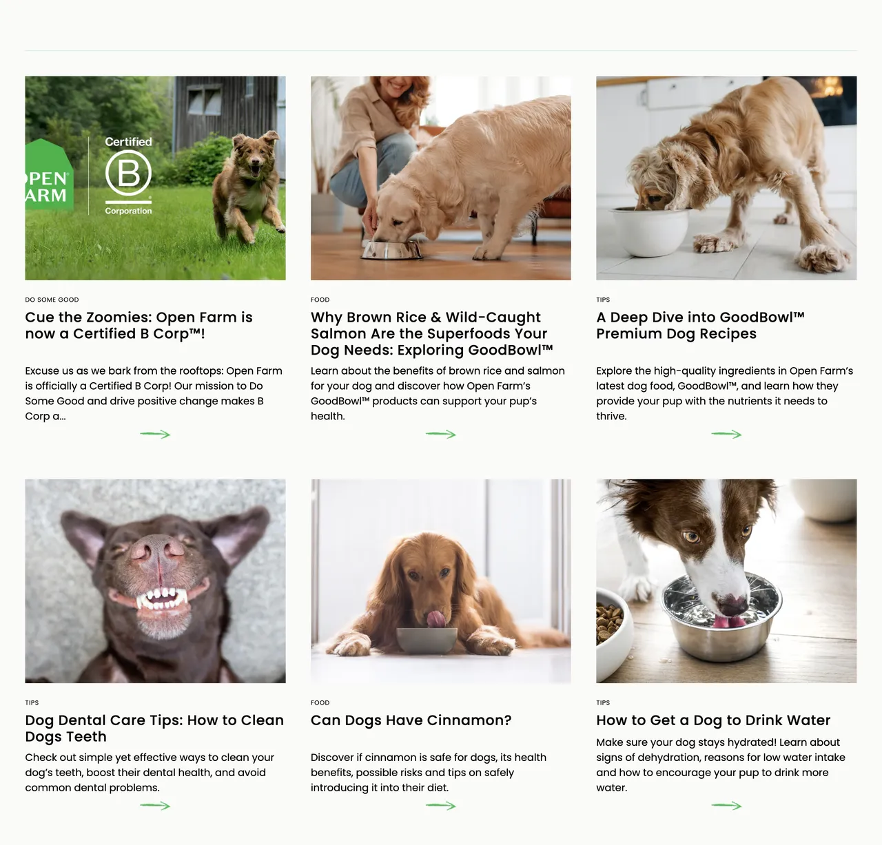 Replo brand asset featured on replo.app