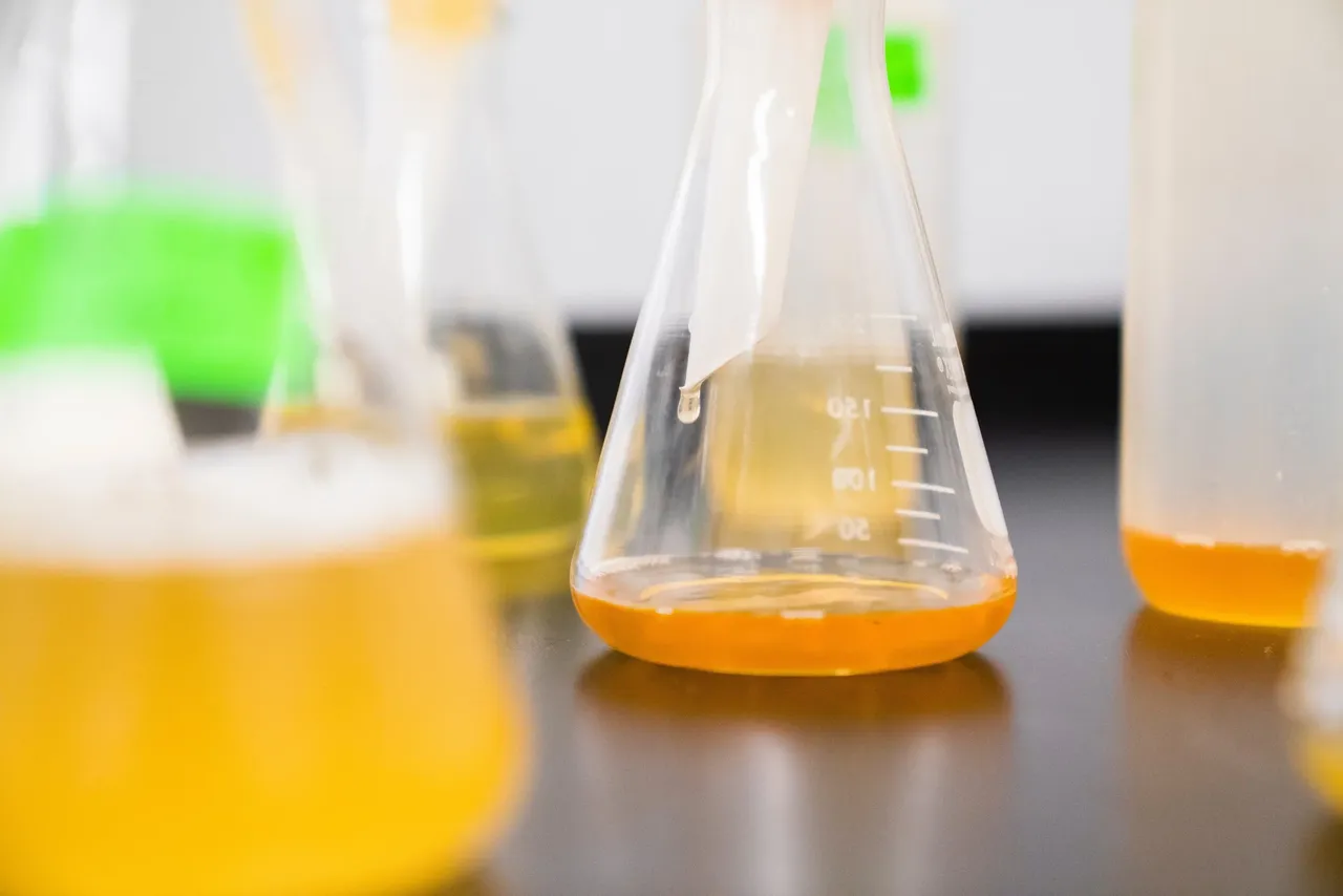 Rev Genomics brand asset featured on revgenomics.com
