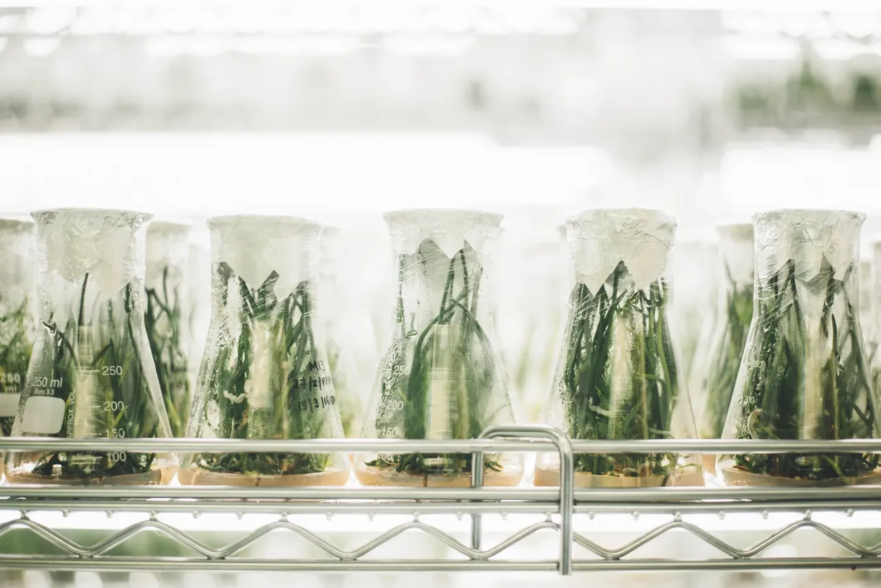 Rev Genomics brand asset featured on revgenomics.com