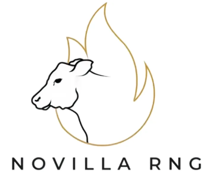 Rimba brand asset featured on rimba.ai