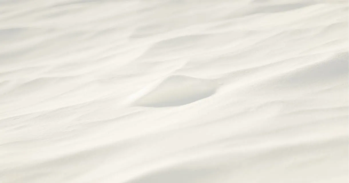 Sandbar brand asset featured on sandbar.com