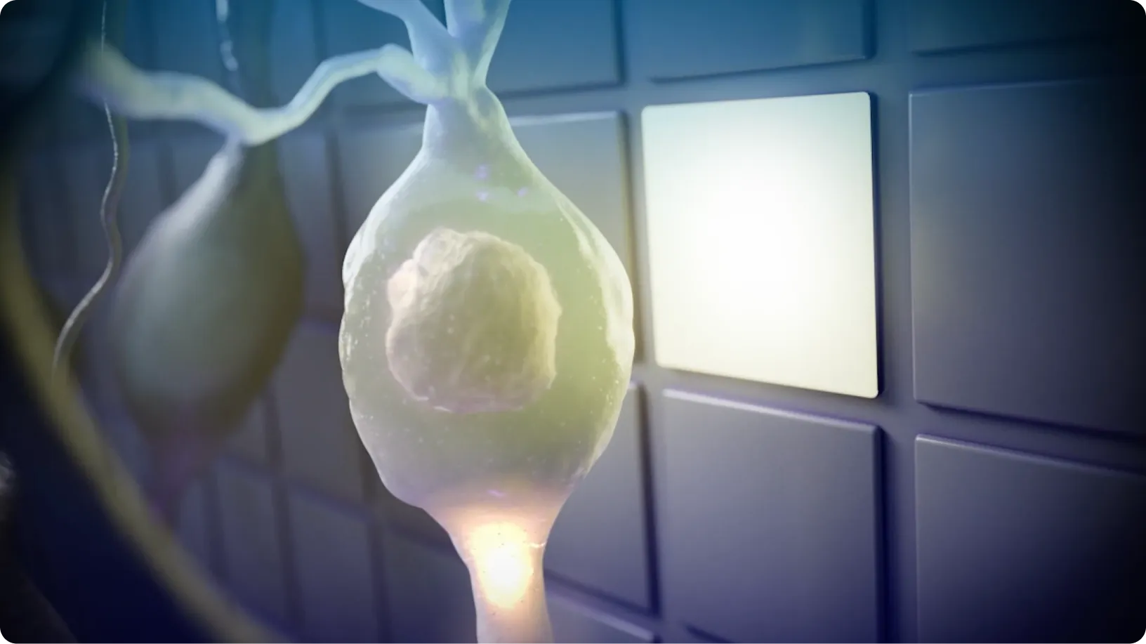 Science brand asset featured on science.xyz
