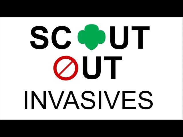 Scout Out brand asset featured on youtube.com