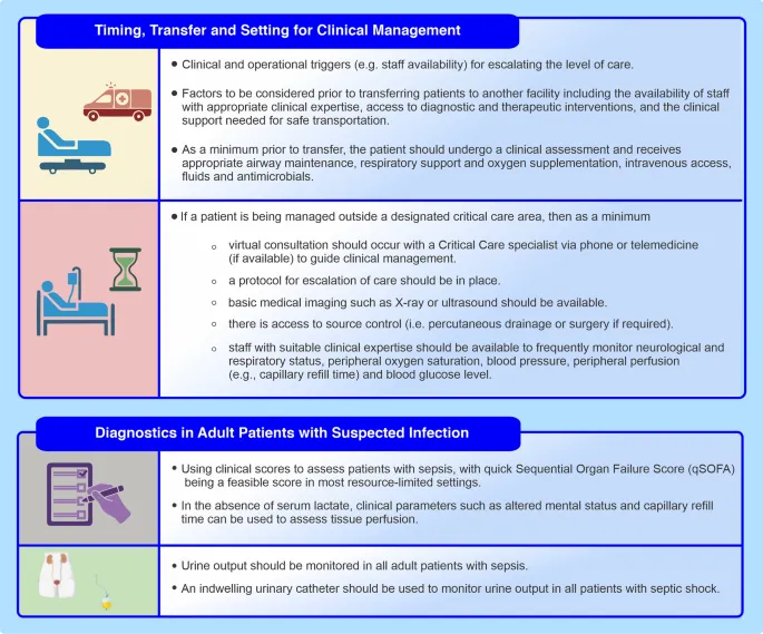 Sepsis Scout brand asset featured on link.springer.com