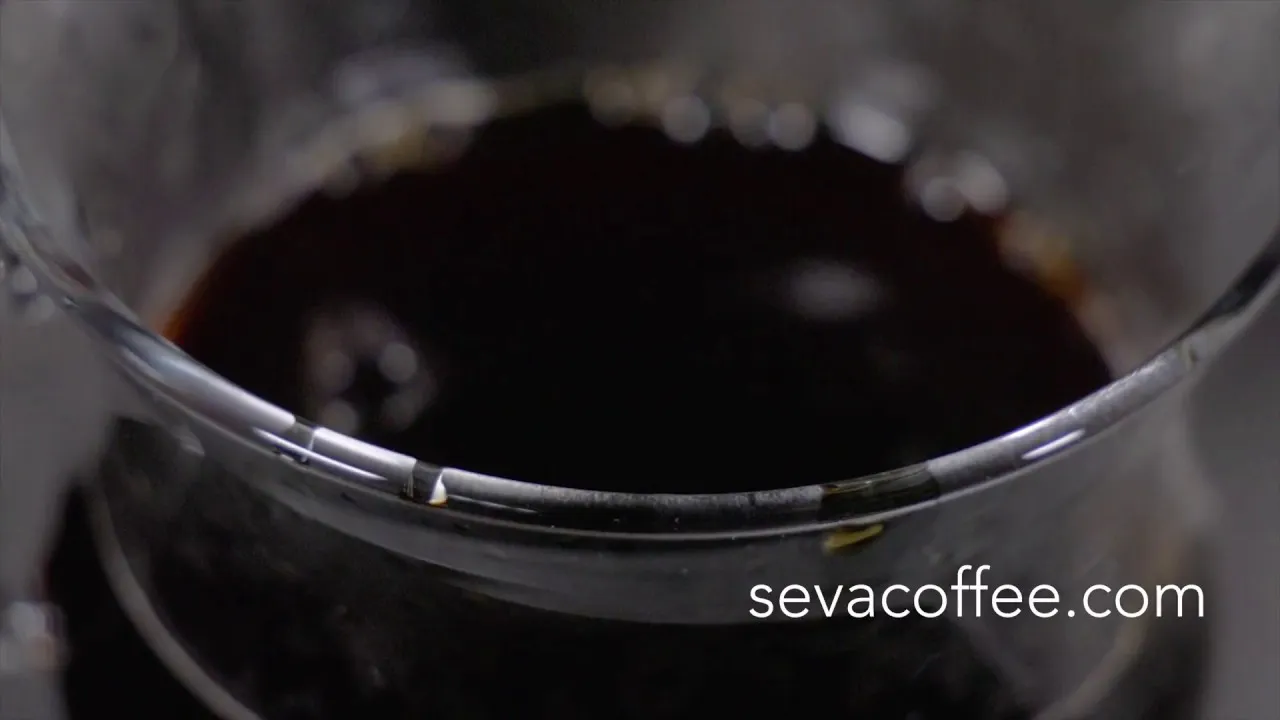 Seva Coffee brand asset featured on sevacoffee.com