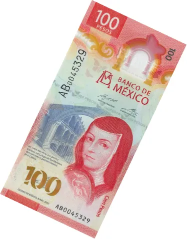 Siglo brand asset featured on siglo.com