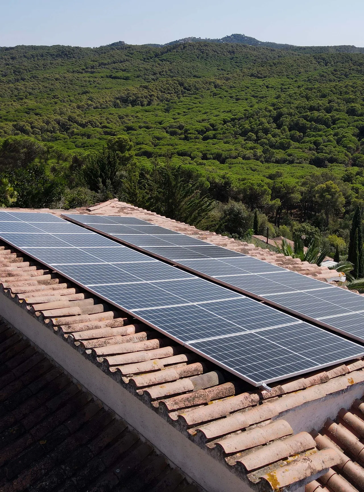 SolarMente brand asset featured on web.solarmente.es