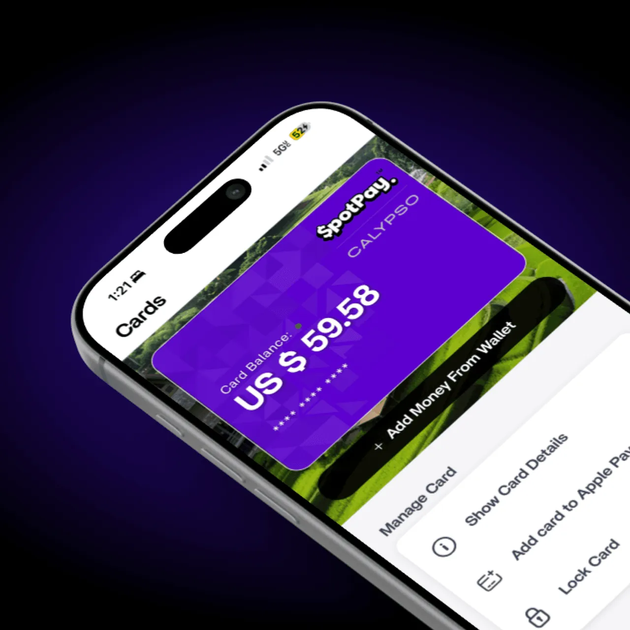 SpotPay brand asset featured on spotpay.ai
