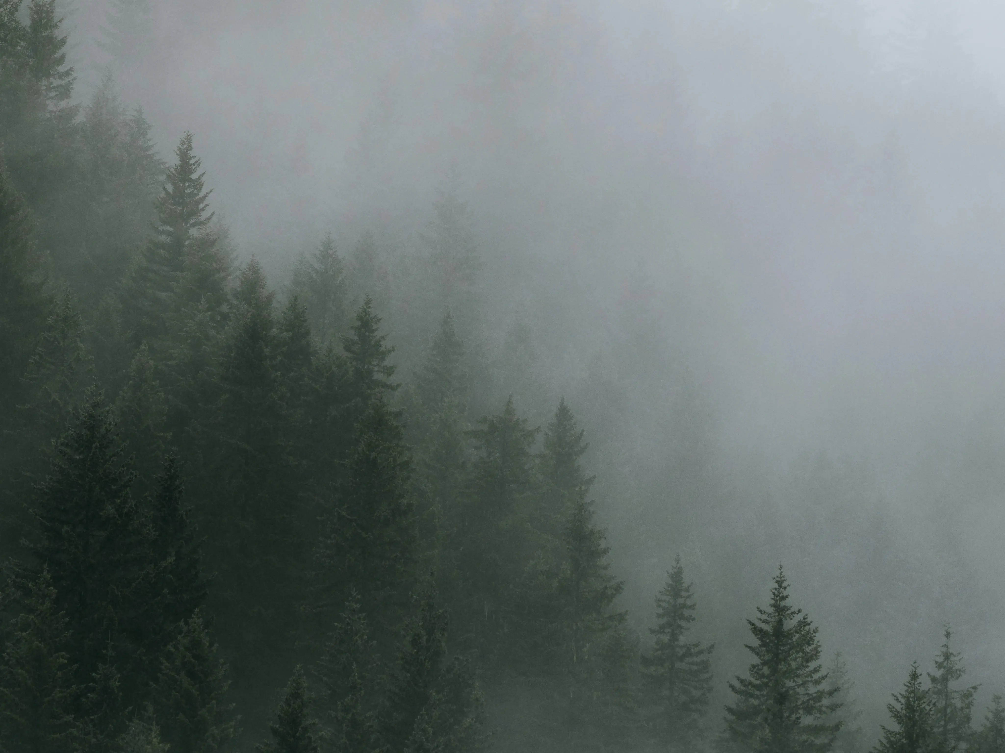 stoic. brand asset featured on getstoic.com