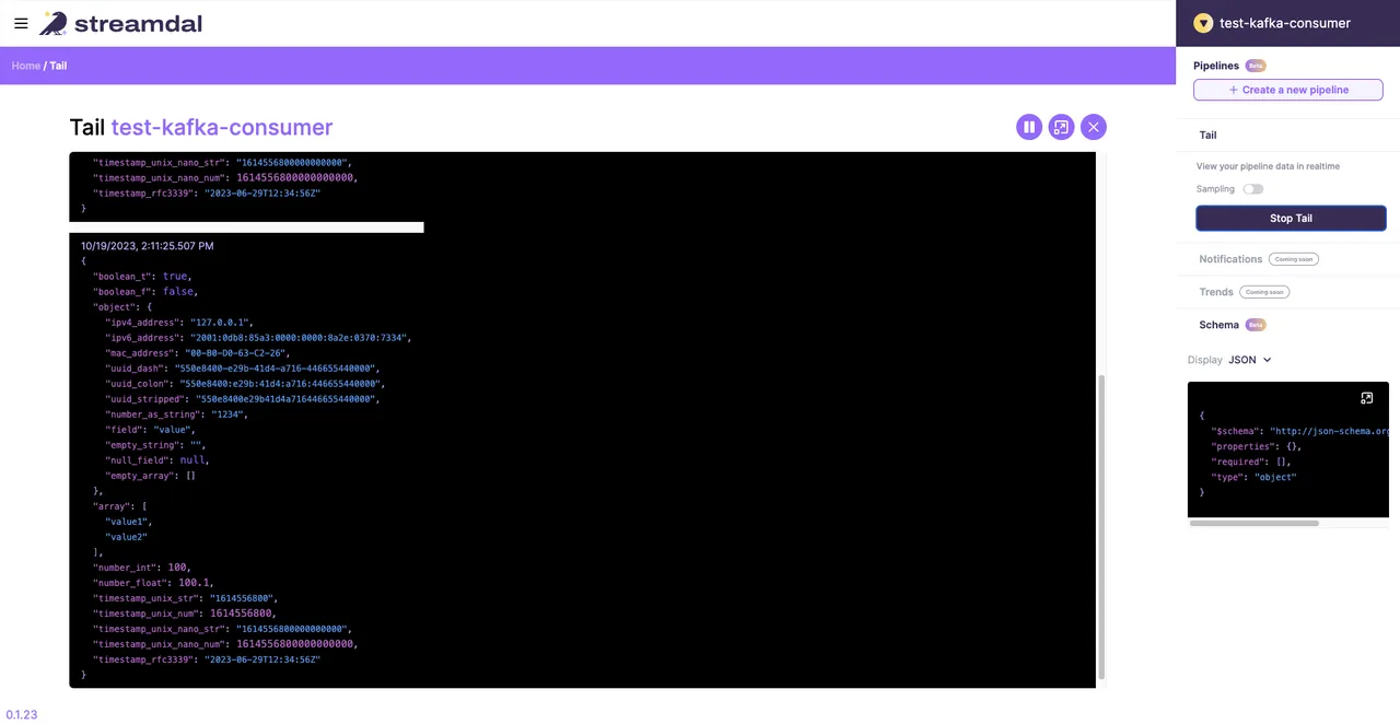 Streamdal brand asset featured on docs.streamdal.com