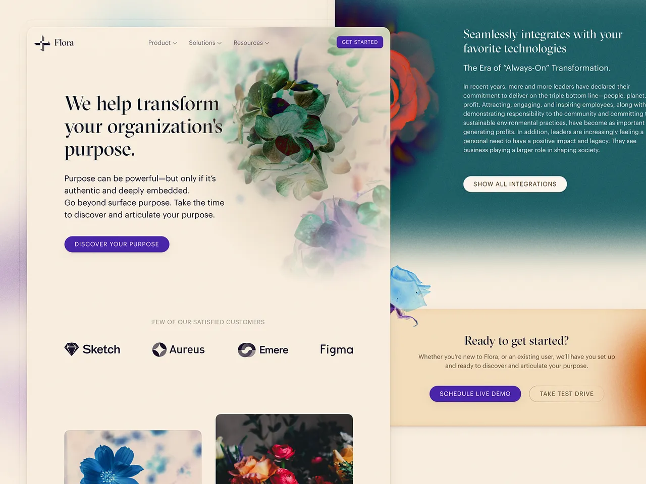 Sylvian brand asset featured on dribbble.com