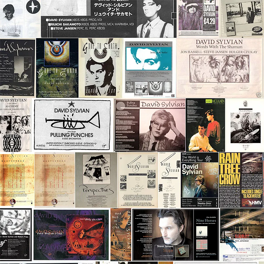 Sylvian brand asset featured on davidsylvian.net