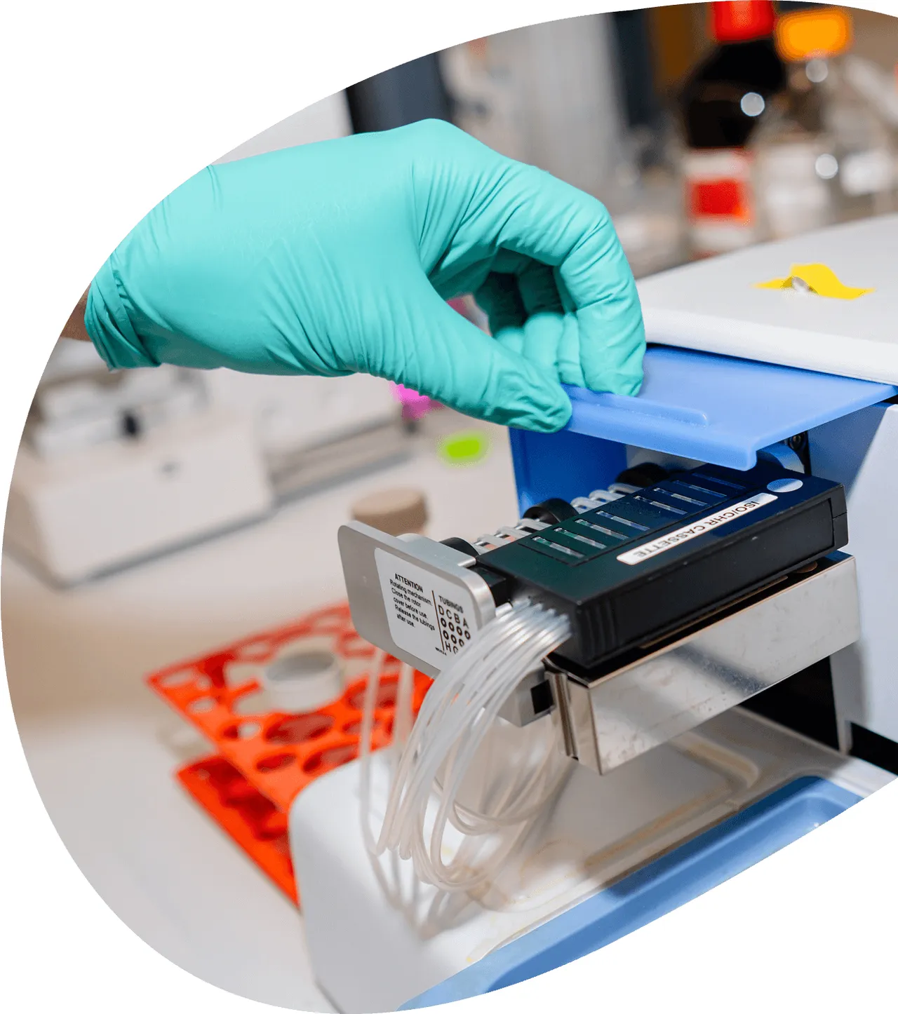 Talus Bio brand asset featured on talus.bio