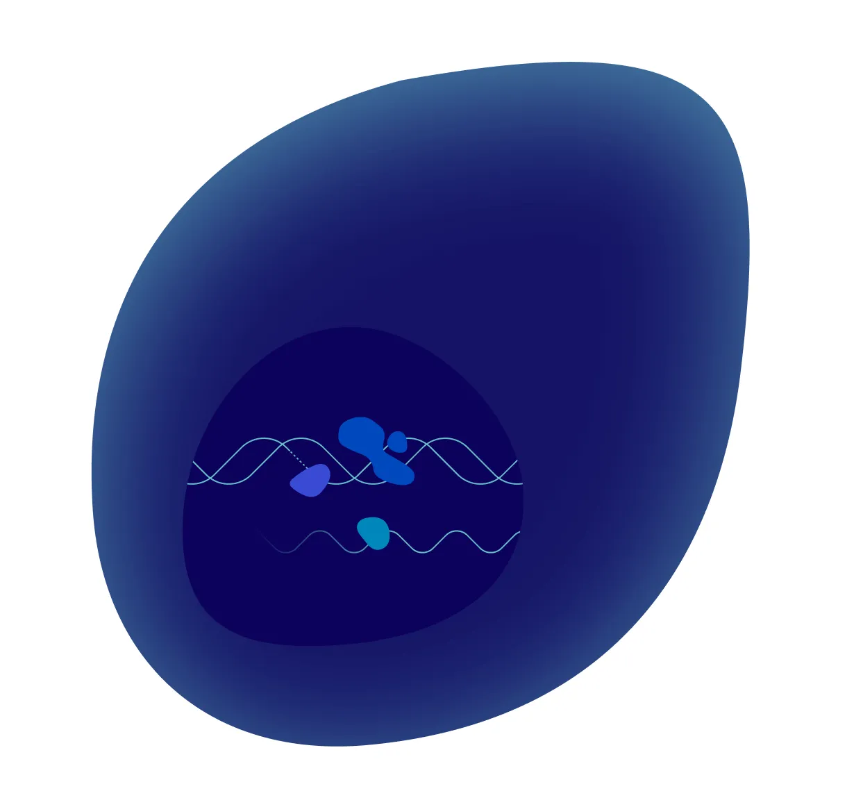 Talus Bio brand asset featured on talus.bio
