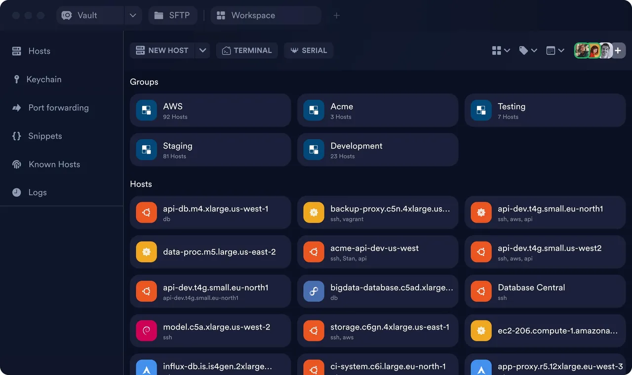 Termius brand asset featured on termius.com