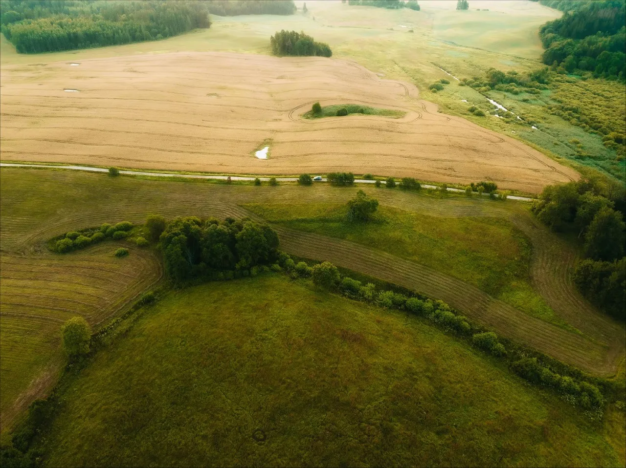 Terradot brand asset featured on terradot.earth