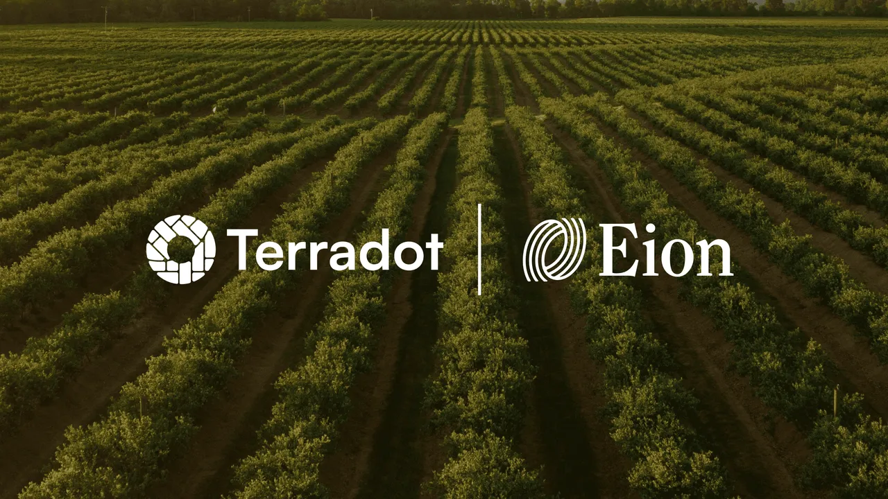 Terradot brand asset featured on terradot.earth
