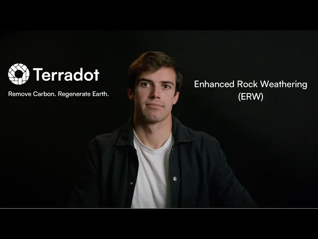 Terradot brand asset featured on terradot.earth