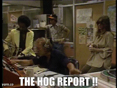 The Hog brand asset featured on getyarn.io