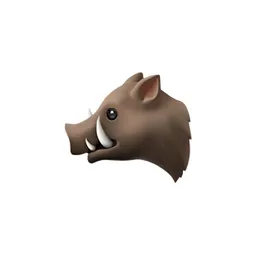 The Hog brand asset featured on app.thehog.ai