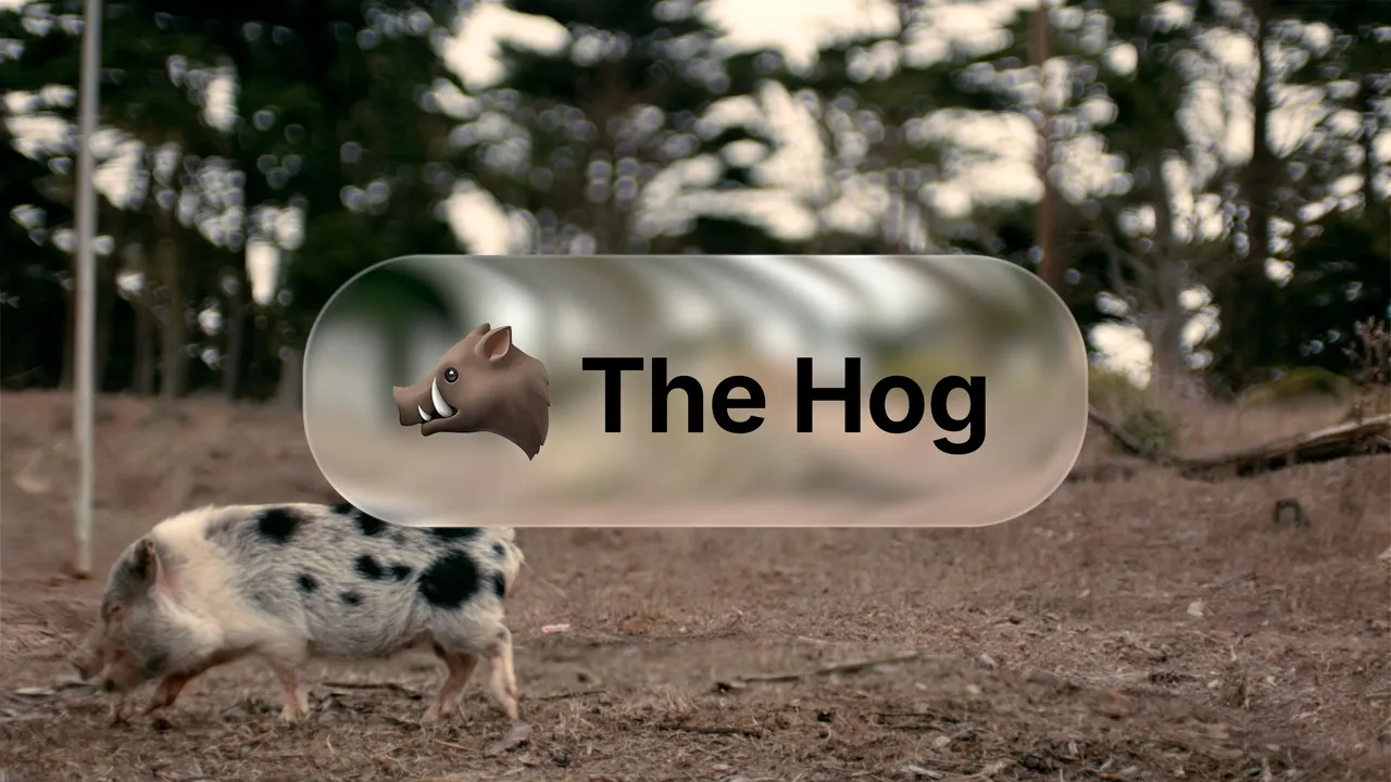 The Hog brand asset featured on fondo.com