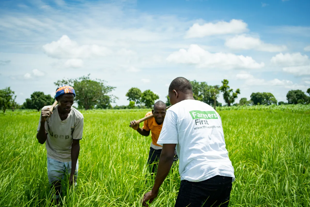 Thrive Agric brand asset featured on thriveagric.com