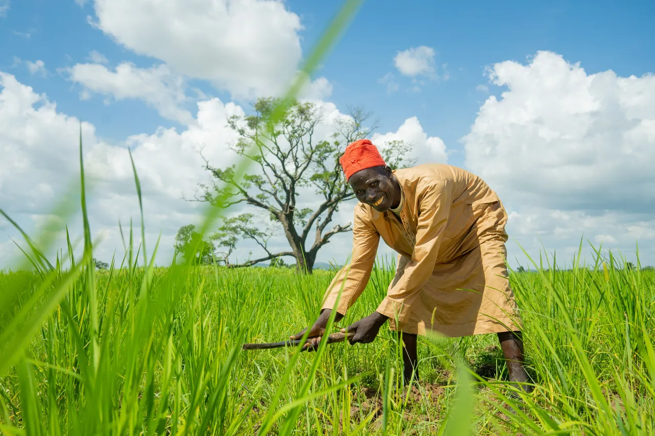 Thrive Agric brand asset featured on thriveagric.com