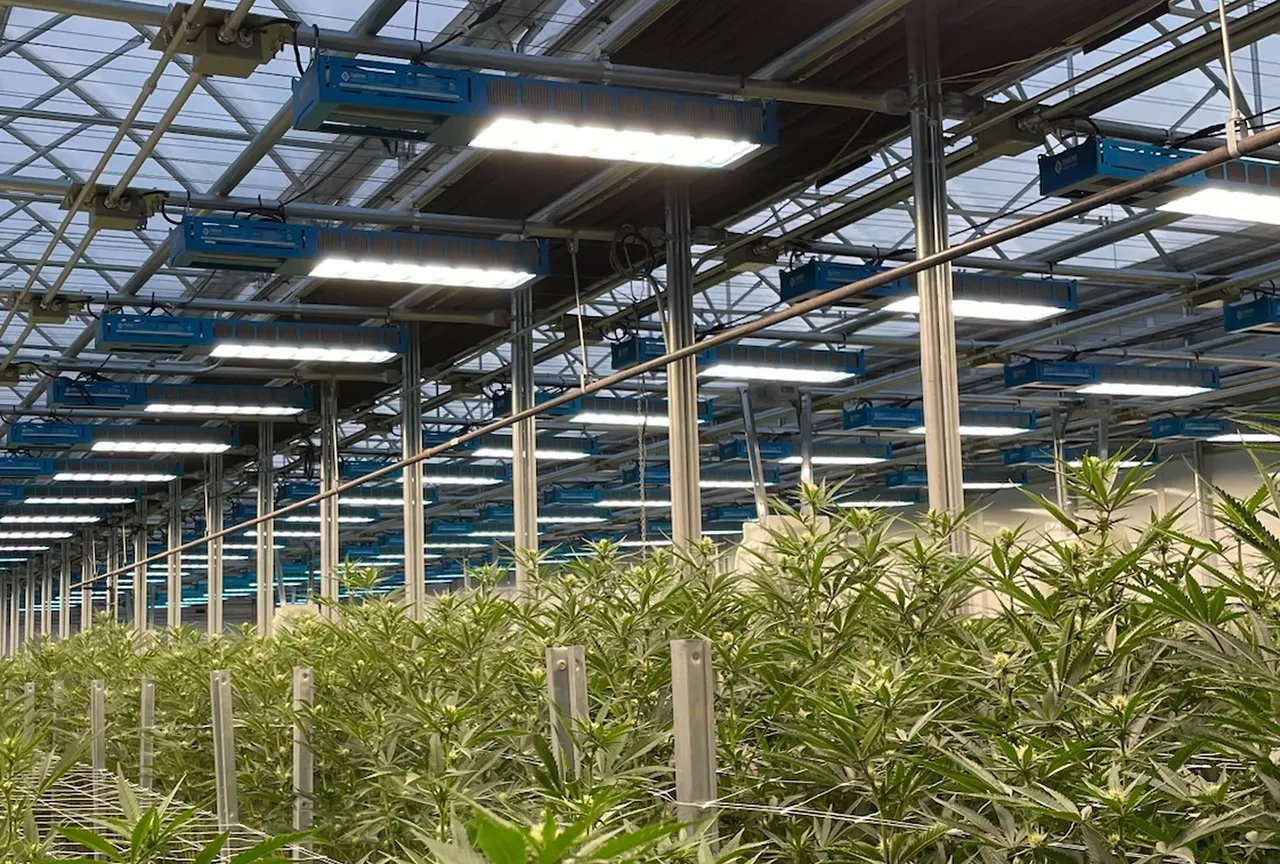 Thrive Agritech brand asset featured on thriveagritech.com