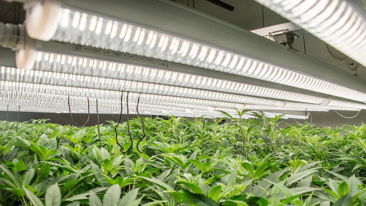Thrive Agritech brand asset featured on thriveagritech.com