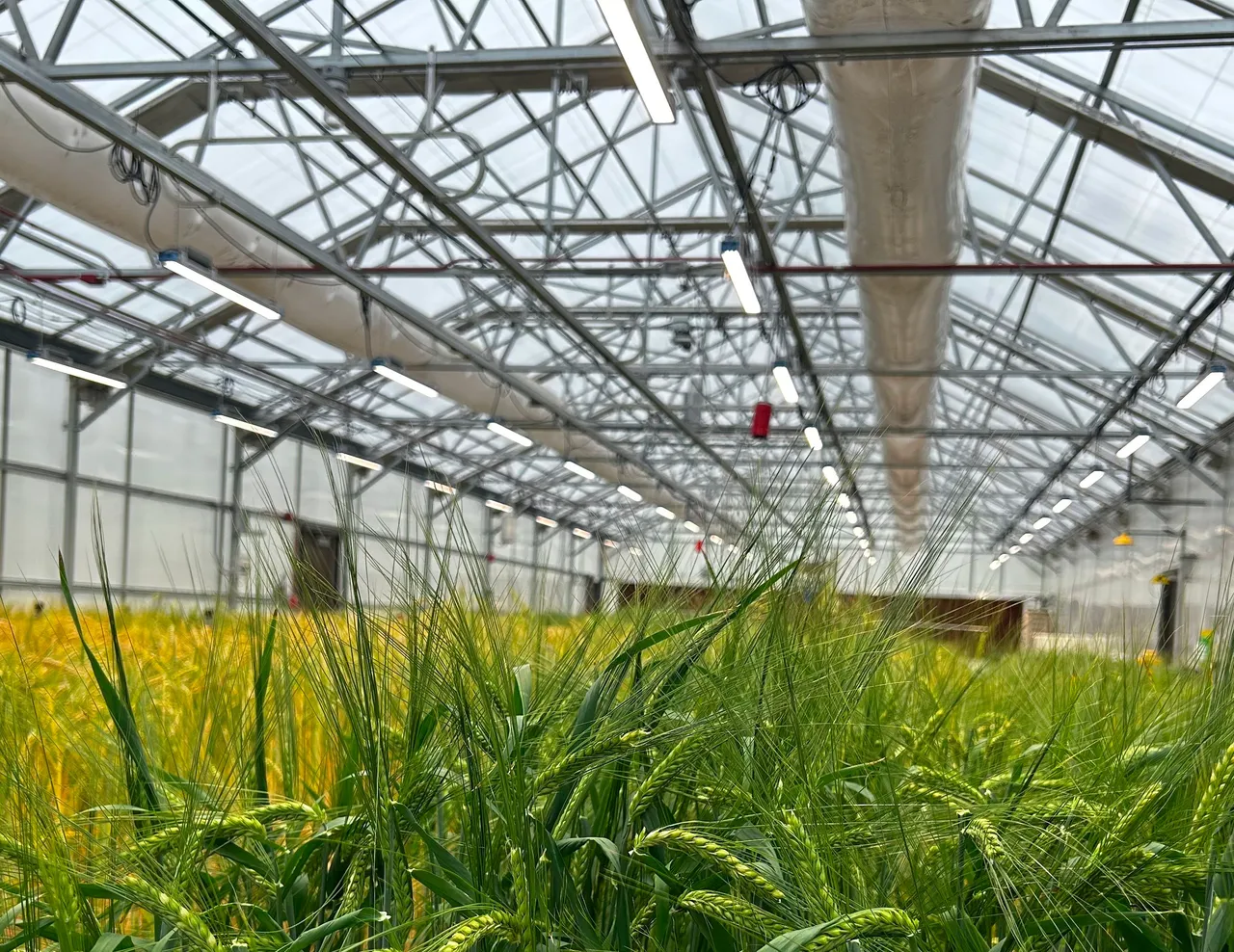 Thrive Agritech brand asset featured on thriveagritech.com