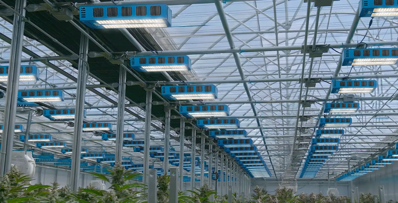 Thrive Agritech brand asset featured on thriveagritech.com