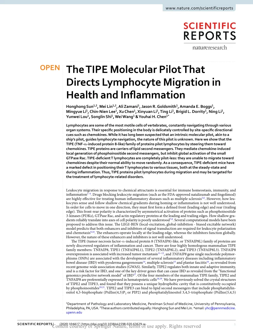 Tipe brand asset featured on researchgate.net