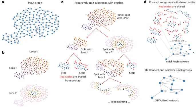 Topological brand asset featured on nature.com