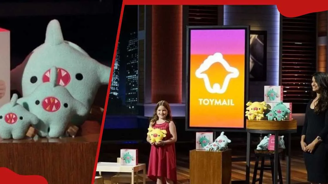 Toymail brand asset featured on tuko.co.ke