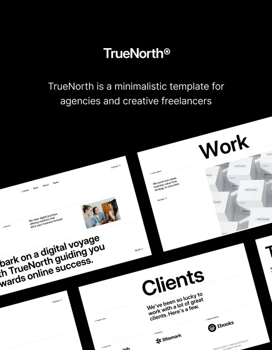 TrueNorth brand asset featured on webflow.com