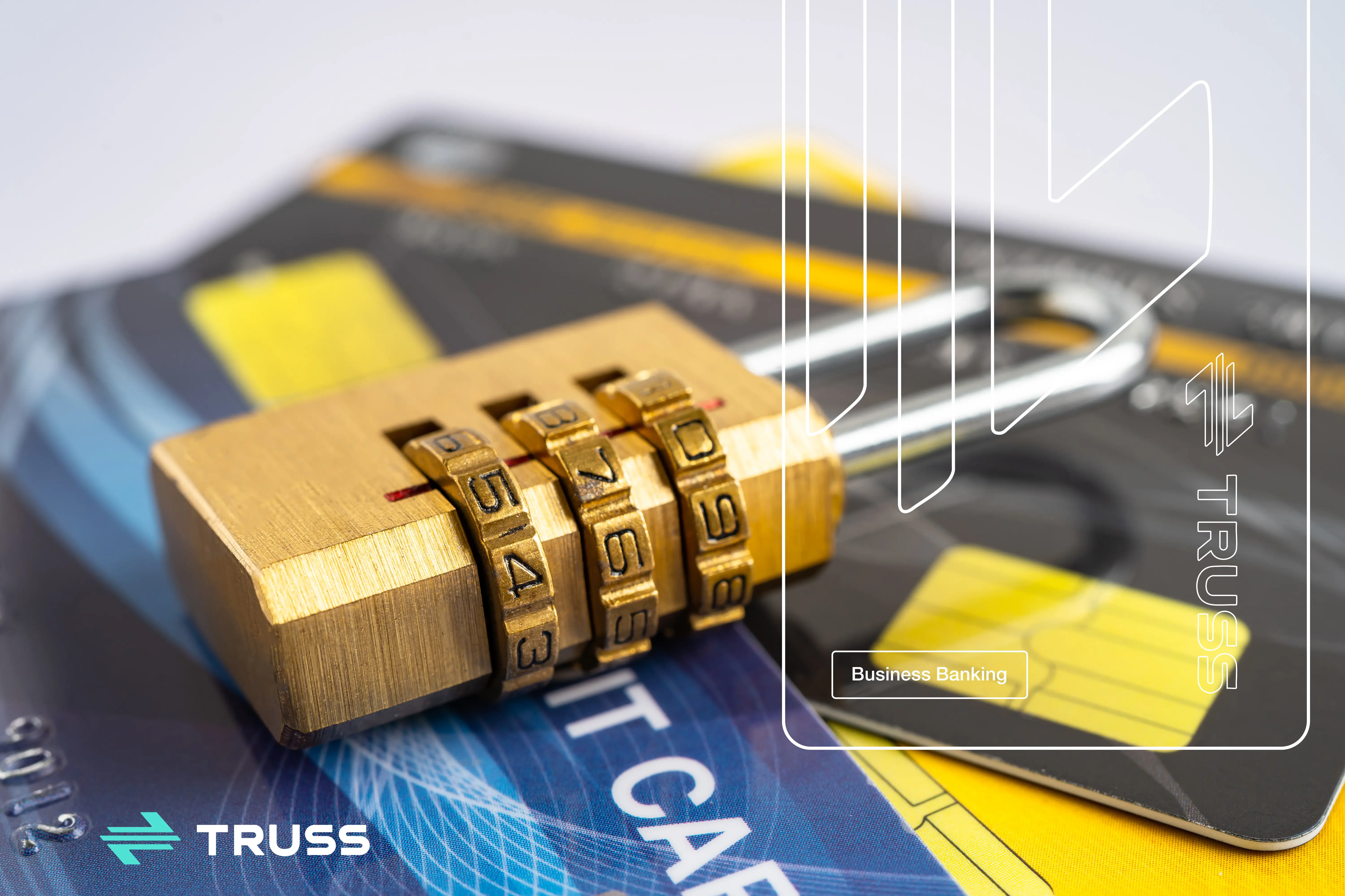 Truss brand asset featured on trusspayments.com