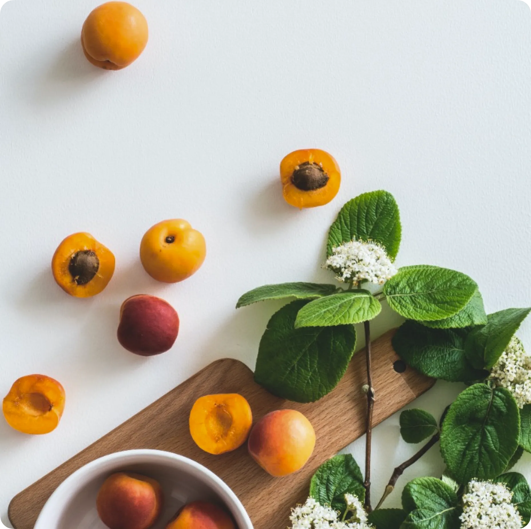 Tuli Health brand asset featured on tuli.health