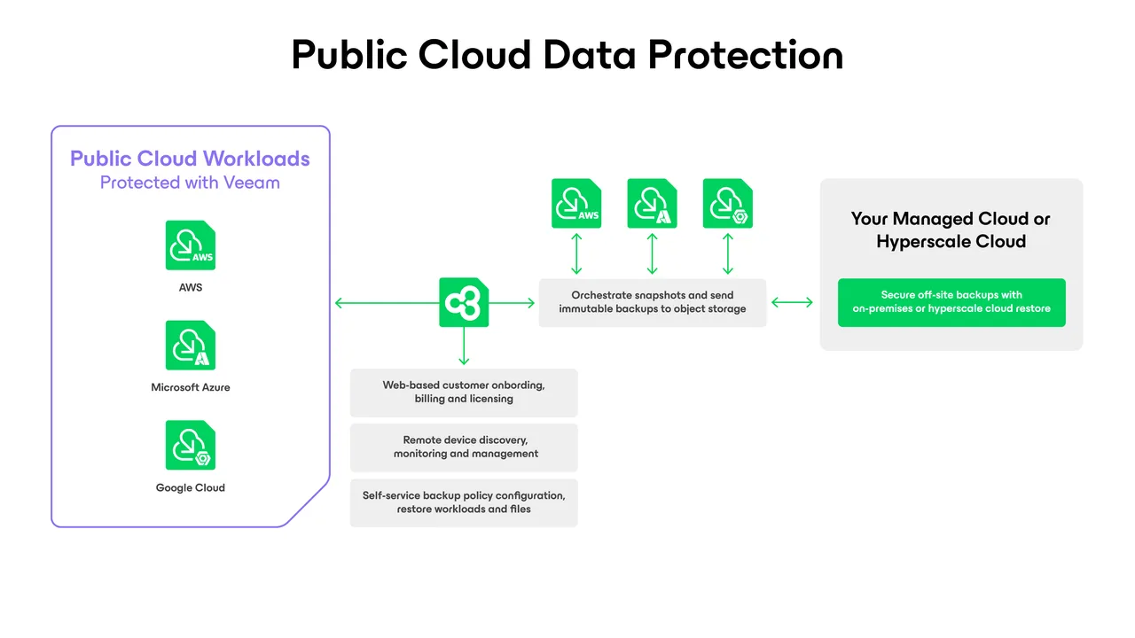 Veeam brand asset featured on bp.veeam.com
