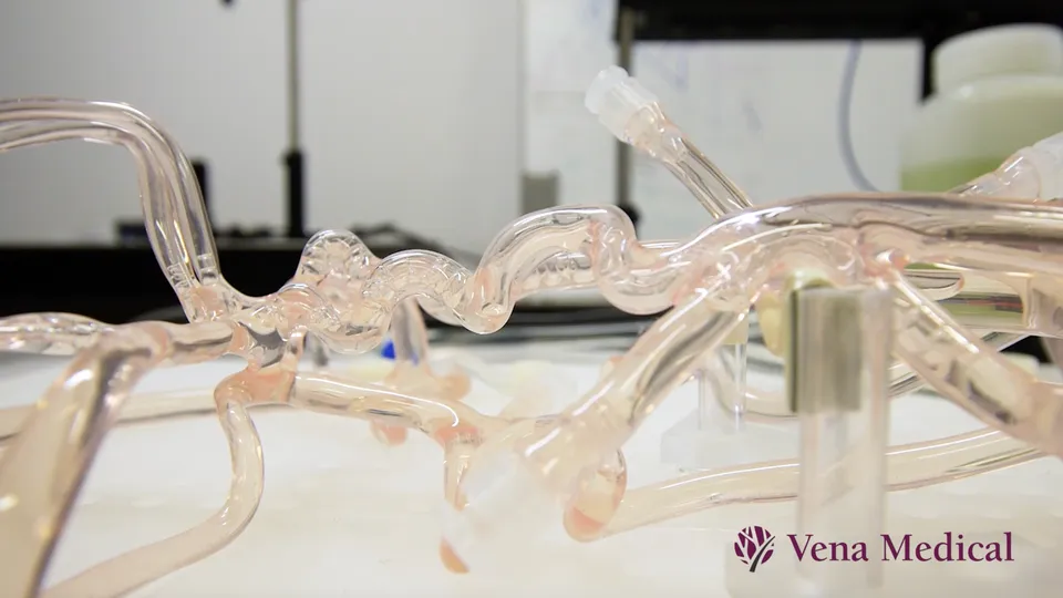 Vena Medical brand asset featured on venamed.ca
