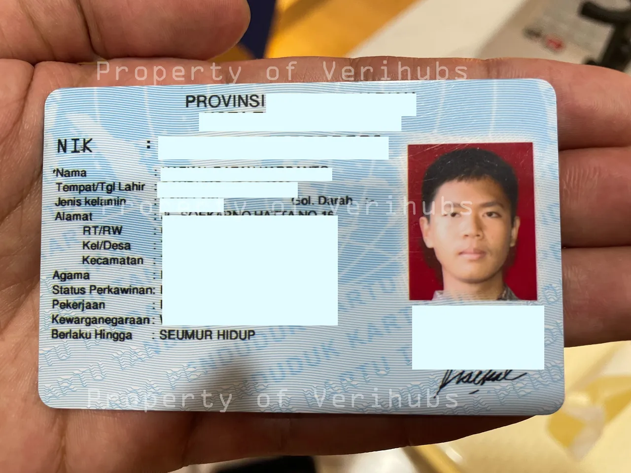 Verihubs brand asset featured on docs.verihubs.com