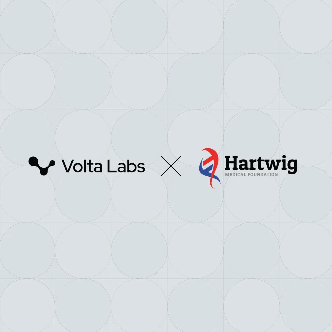 Volta Labs, Inc. brand asset featured on voltalabs.com