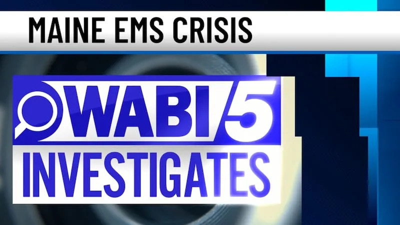 Wabi brand asset featured on wabi.tv