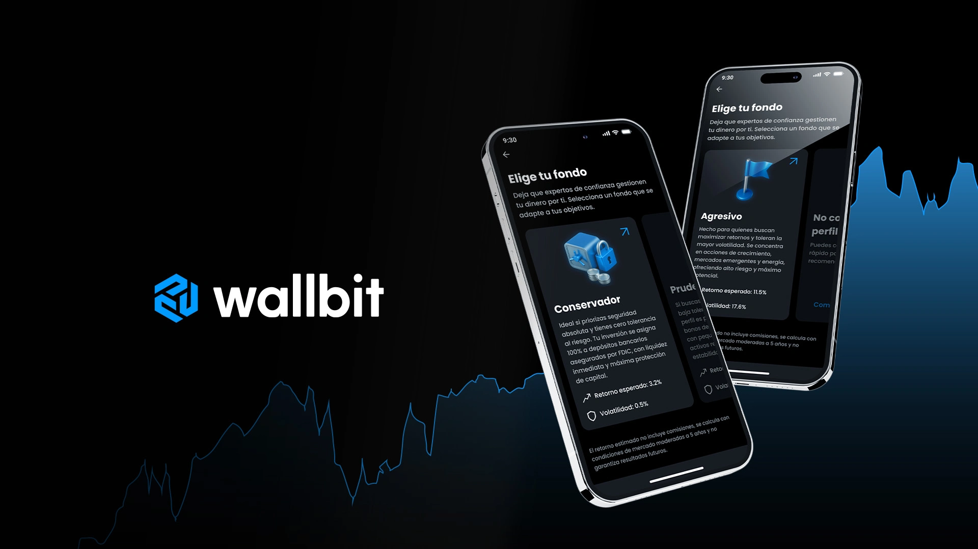 Wallbit brand asset featured on wallbit.io