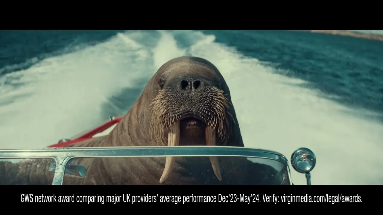 Walrus brand asset featured on youtube.com