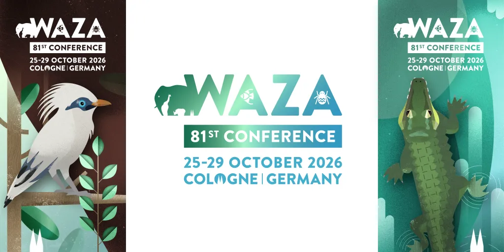 Waza brand asset featured on waza.org