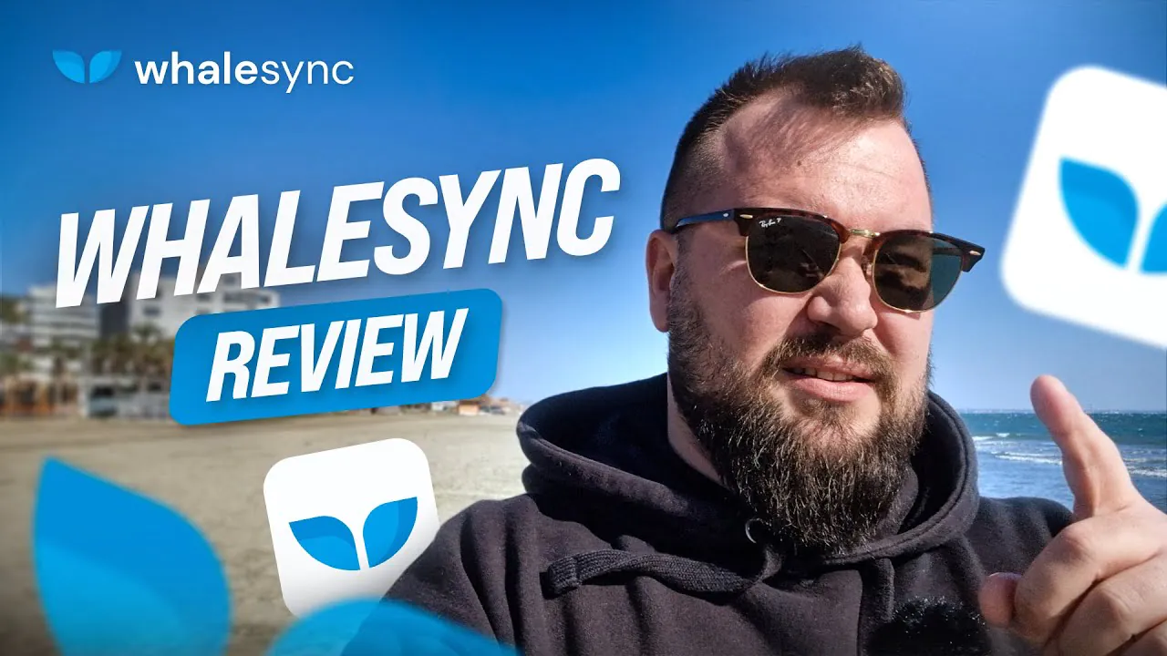 Whalesync brand asset featured on whalesync.com