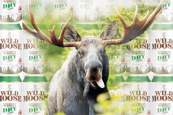Wild Moose brand asset featured on critic.co.nz
