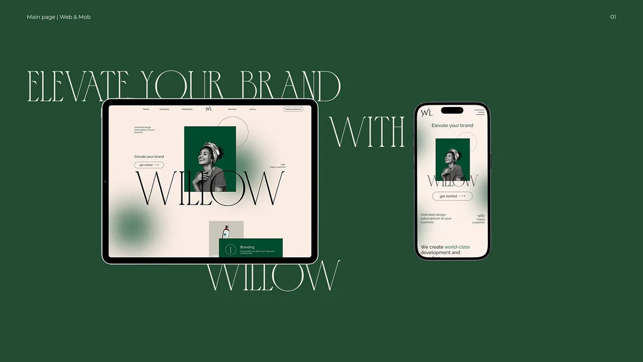 Willow brand asset featured on behance.net